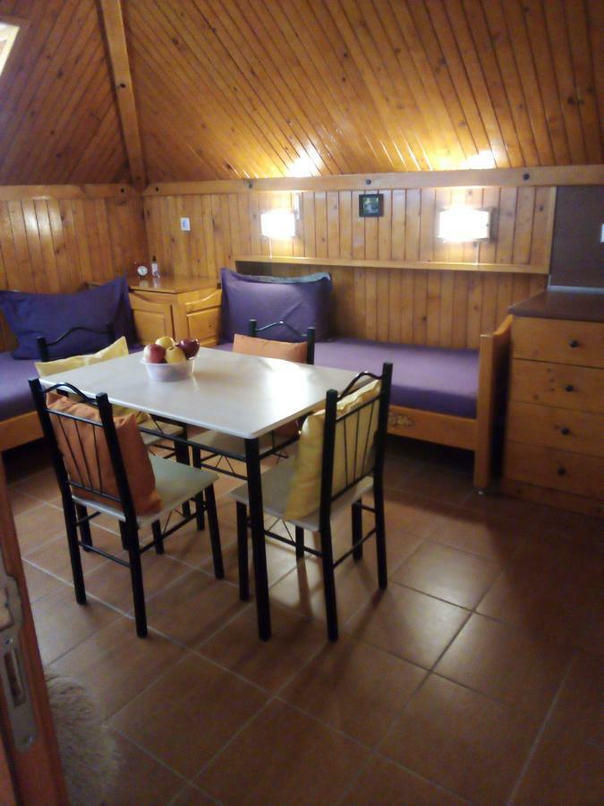 Doctor'S House Hotel Szinemorec Kültér fotó